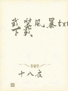 武装风暴txt下载