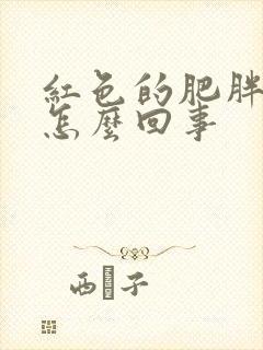 红色的肥胖纹是怎么回事封面