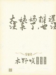 大姨妈推迟十天没来了,也没怀孕