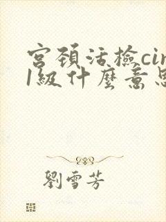 宫颈活检cin1级什么意思