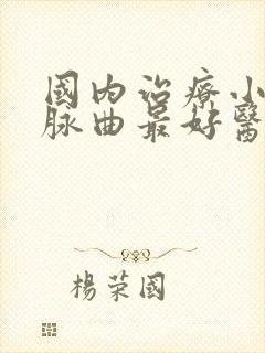 国内治疗小腿静脉曲最好医院封面