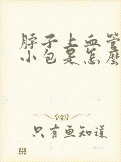 脖子上血管鼓起小包是怎么回事