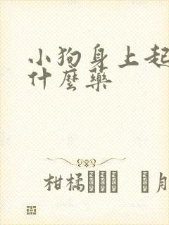 小狗身上起癣用什么药