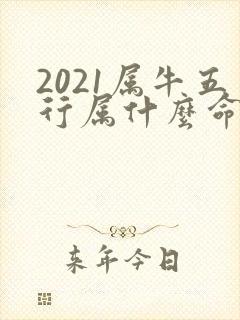 2021属牛五行属什么命