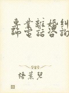 专业离婚纠纷律师电话咨询
