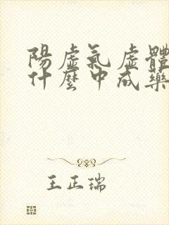 阳虚气虚体质吃什么中成药封面