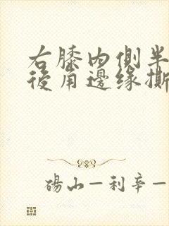 右膝内侧半月板后角边缘撕裂