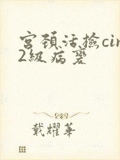 宫颈活检cin2级病变