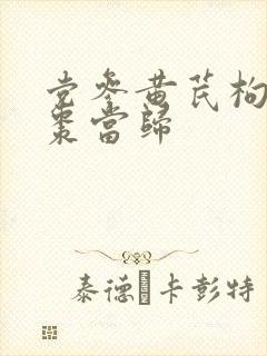 党参黄芪枸杞红枣当归封面