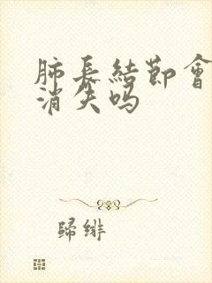 肺长结节会自动消失吗封面