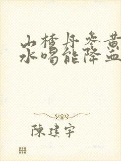 山楂丹参黄芪泡水喝能降血压吗