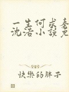 一生何求秦菲雪沈浩小说免费阅读全文
