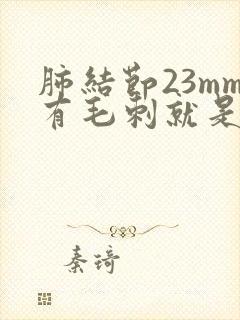肺结节23mm有毛刺就是恶性吗