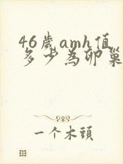 46岁amh值多少为卵巢早衰封面