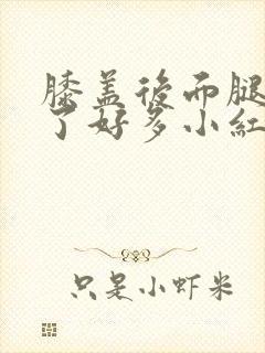 膝盖后面腿窝长了好多小红疙瘩