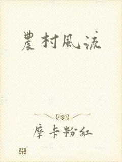 农村风流