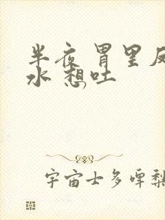 半夜 胃里反酸水 想吐