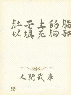 肚子上的脂肪可以填充胸部吗封面