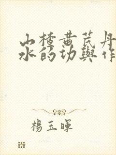 山楂黄芪丹参泡水的功与作用