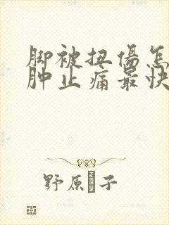 脚被扭伤怎么消肿止痛最快封面