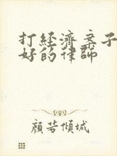 打经济案子比较好的律师