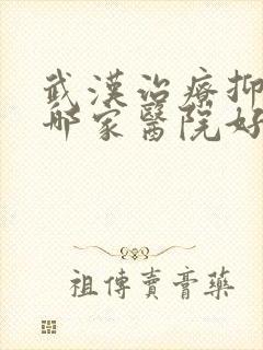 武汉治疗抑郁上哪家医院好封面