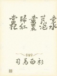 当归黄芪党参枸杞红枣泡水喝的功效