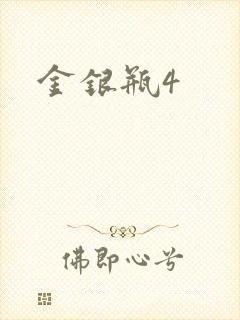金银瓶4封面
