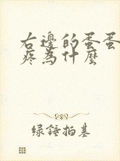 右边的蛋蛋有点疼为什么