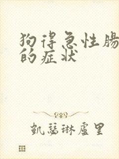 狗得急性肠胃炎的症状