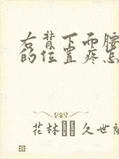 右背下面腰上面的位置疼怎么回事封面