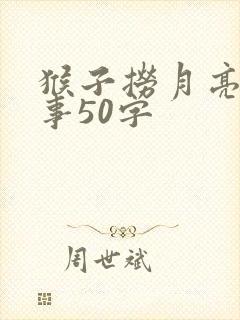 猴子捞月亮的故事50字