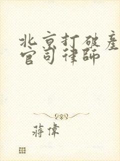北京打破产清算官司律师封面