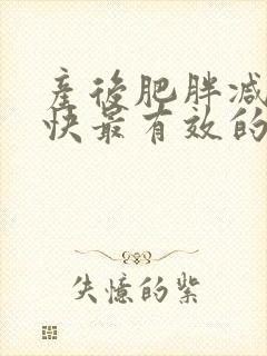 产后肥胖减肥最快最有效的方法封面