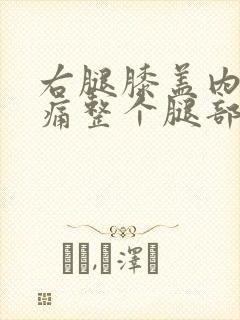 右腿膝盖内侧肿痛整个腿部伸直就疼封面