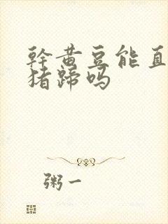 干黄豆能直接炖猪蹄吗封面