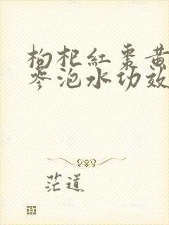枸杞红枣黄芪党参泡水功效与作用