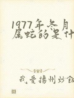 1977年冬月属蛇的是什么命