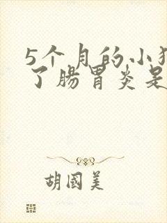 5个月的小狗得了肠胃炎是什么症状
