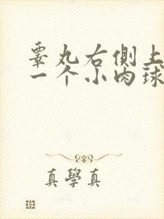 睾丸右侧上长了一个小肉球硬硬的