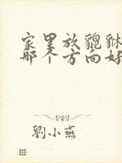 家里放貔貅头朝哪个方向好封面