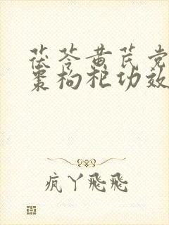 茯苓黄芪党参红枣枸杞功效与作用