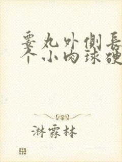 睾丸外侧长了一个小肉球硬硬的