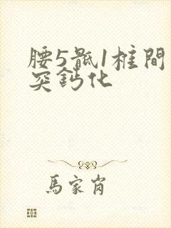 腰5骶1椎间盘突钙化