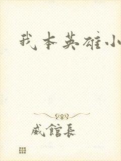 我本英雄小说