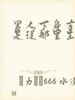 男人下身有阴虱是从那里生出来的
