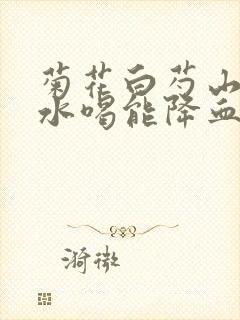 菊花白芍山楂泡水喝能降血压吗