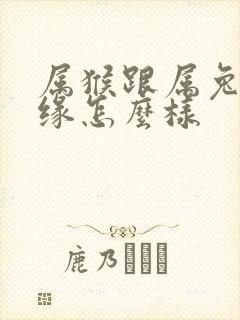 属猴跟属兔的姻缘怎么样封面