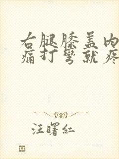 右腿膝盖内侧疼痛打弯就疼为什么