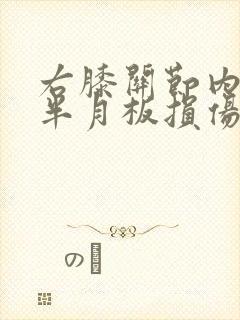 右膝关节内外侧半月板损伤1级